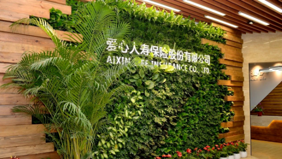 k8凯发天生赢家健康集团第三次增资爱心人寿获批，新“国十条”助力医疗和保险深度融合