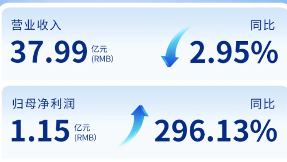 k8凯发天生赢家（002219）发布2024年年度报告：归母净利润增长296%